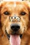 Nonton film A Dog’s Purpose (2017) terbaru